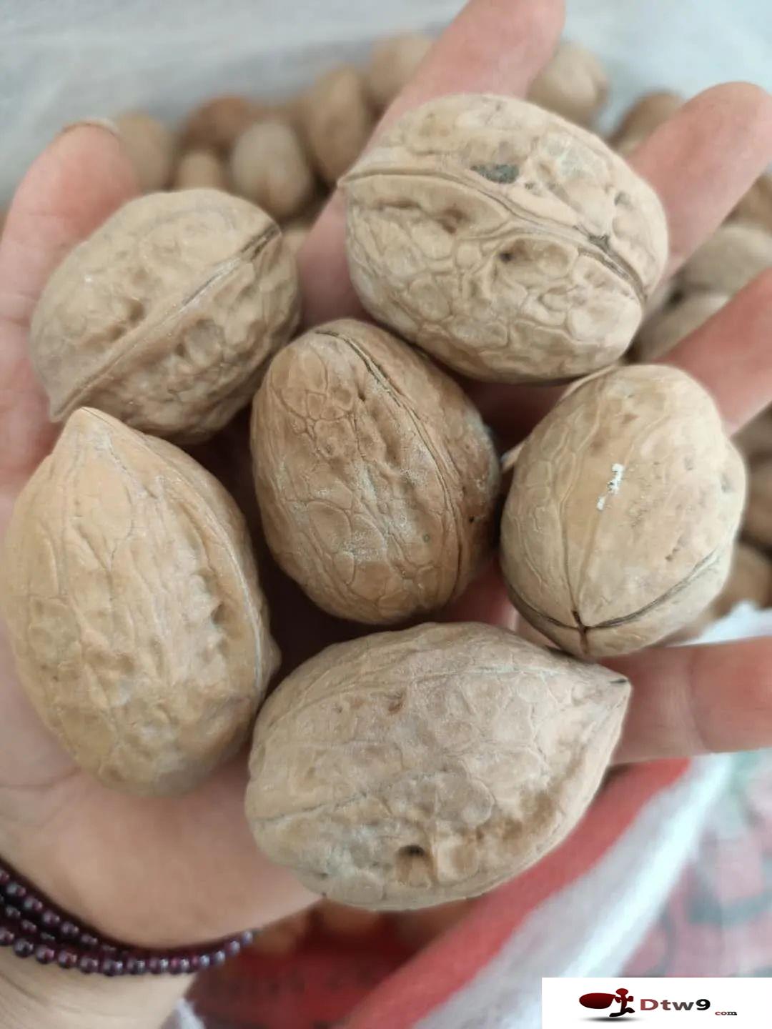 冬季擺地攤賣食品干貨，年貨網(wǎng)紅零食貨源批發(fā)