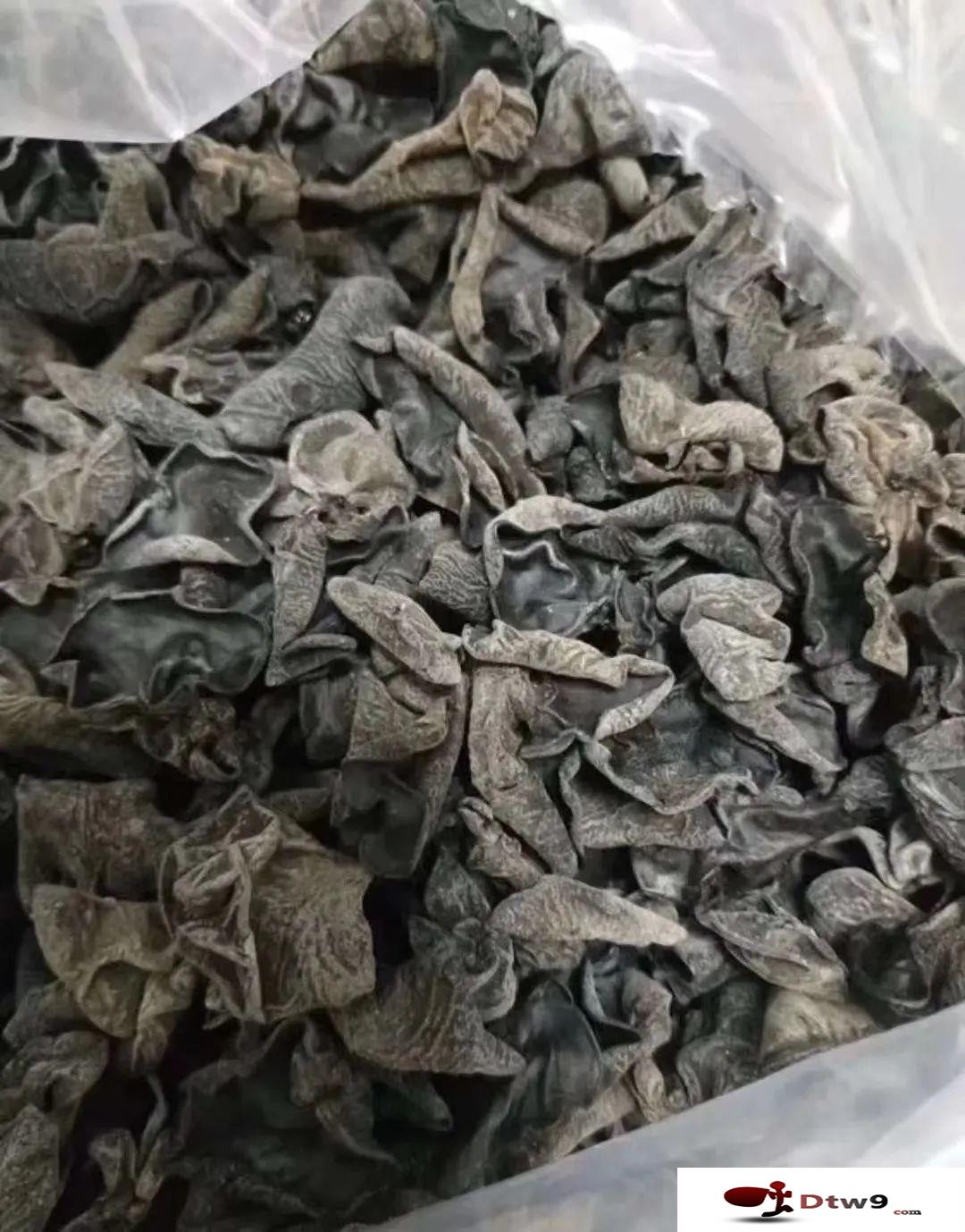擺地?cái)傎u食品干貨，黃金薯片，海帶絲，桂圓干貨源批發(fā)