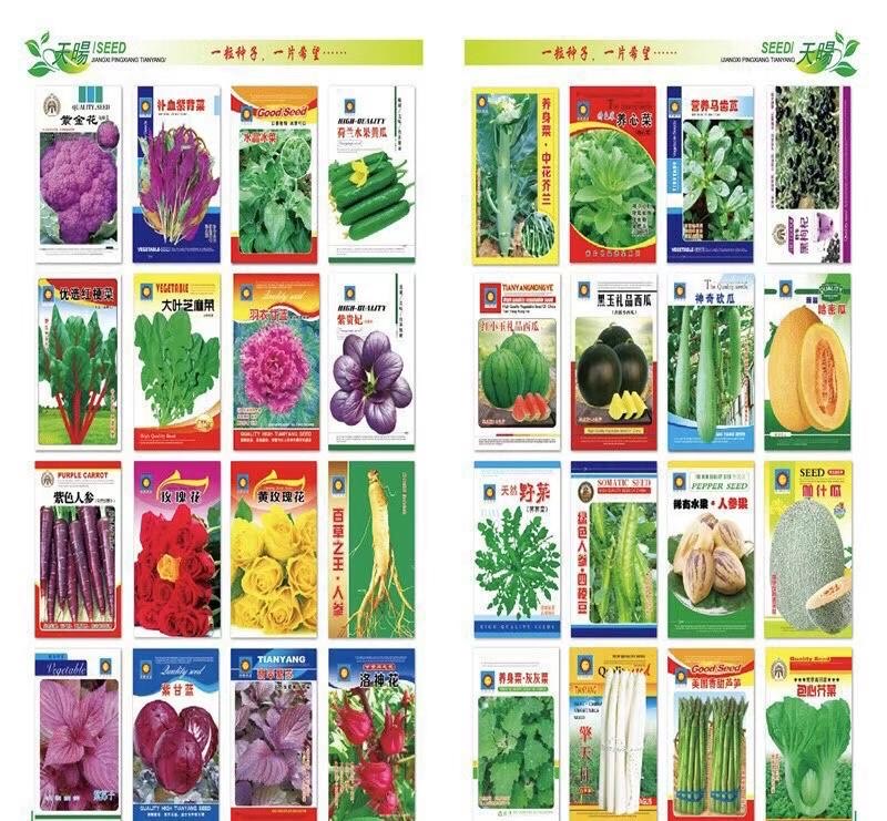 地攤四季菜種子批發(fā) 地攤四季菜種子批發(fā)
