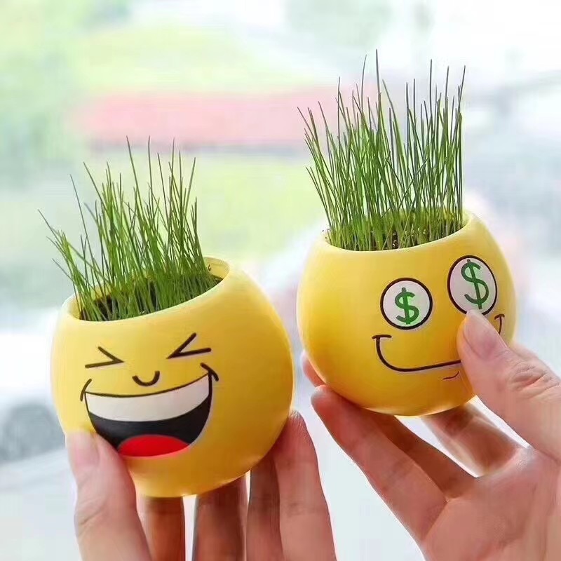 地攤萌萌噠創(chuàng)意表情娃娃草批發(fā) 地攤萌萌噠創(chuàng)意表情娃娃草批發(fā)